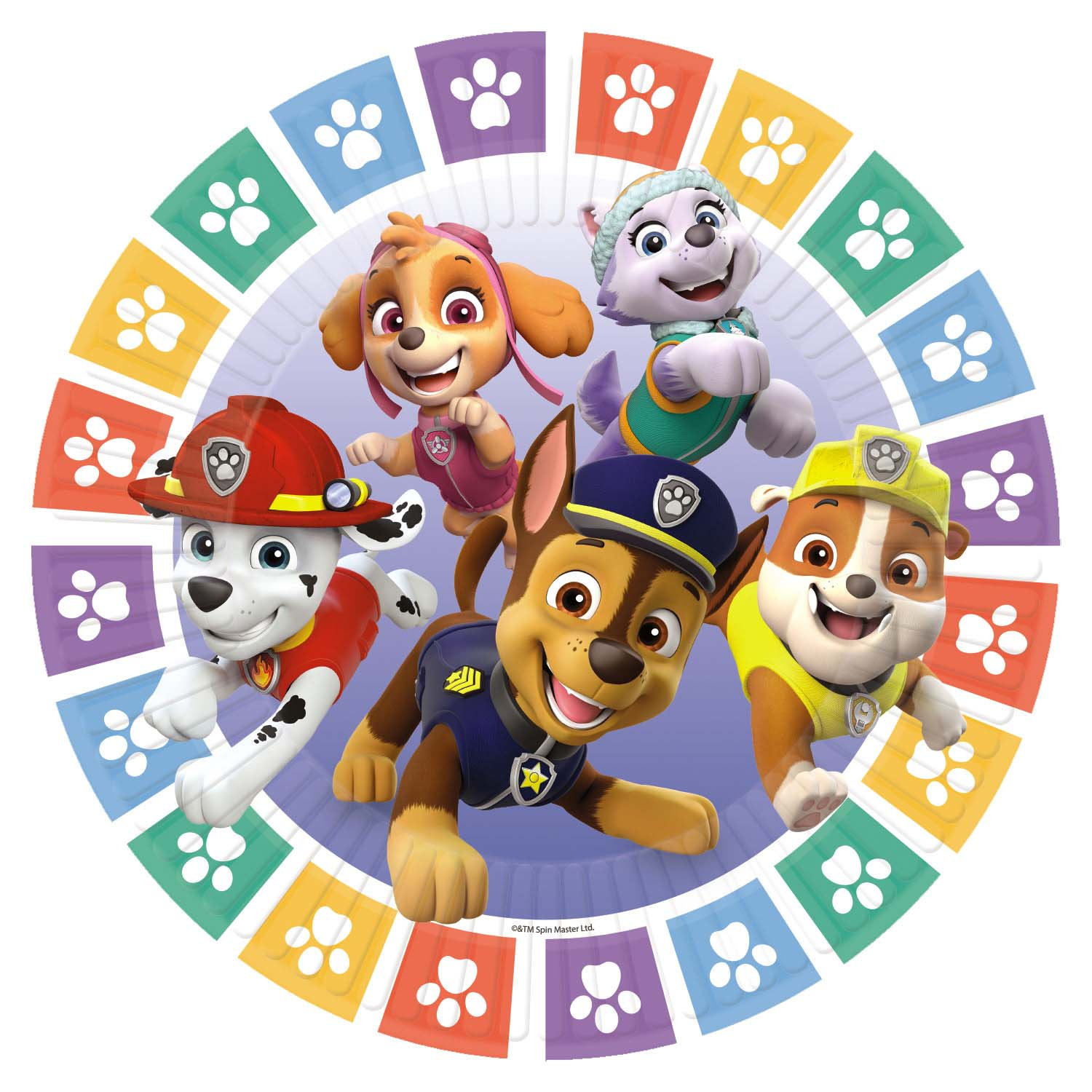 Paw Patrol Paper Plates 23cm 12 PKG 8 Amscan International